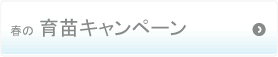 �t�̈�c�L�����y�[��