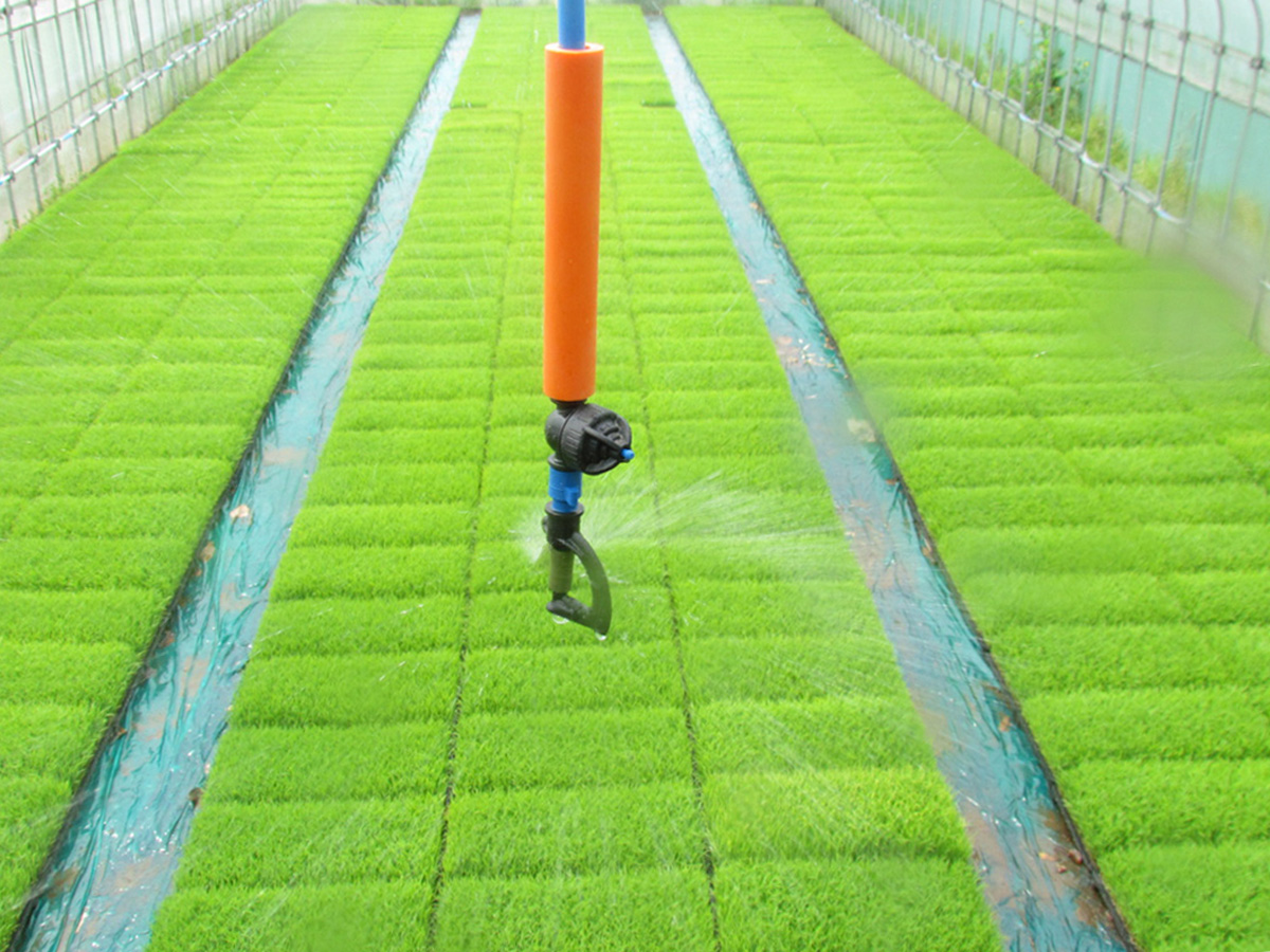 育苗資材のご提案 スプリンクラーの株式会社サンホープ