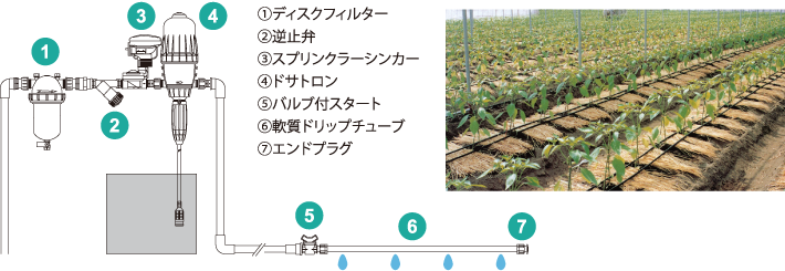 新発売！待望の白